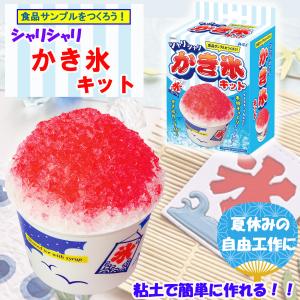 食品サンプル 手作りキット 「 シャリシャリ かき氷 キット ×1箱」 かき氷 カップ 付き 対象年齢 6歳以上 お子様向け 自由研究 自由工作 DIY クラフトキット｜possee