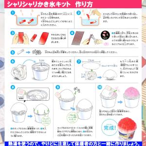 食品サンプル 手作りキット 「 シャリシャリ ...の詳細画像3