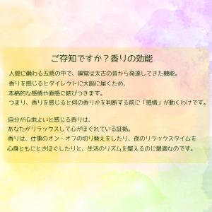 【4種の香りから選べる1個】「香る線香」お香タ...の詳細画像3