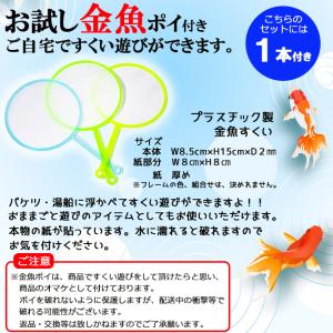 お風呂用おもちゃ ぷかぷか アヒル 黄色 (小...の詳細画像3