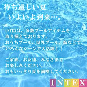 INTEX スイムセンター ピンウィール プー...の詳細画像1