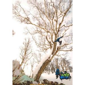 INK MOVIE2 スノーボード DVD インクムービー