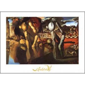 サルバドール・ダリ額付ポスター-瞑想するバラ (320×390×15mm