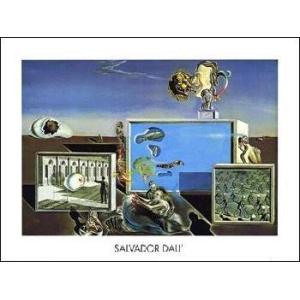 サルバドール・ダリ アートポスター】 目覚めの一瞬前、ザクロの実の