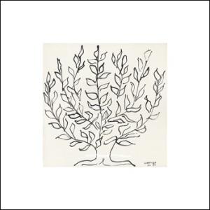 アートポスター 低木-リトグラフ-680×680mm マティス -おしゃれ