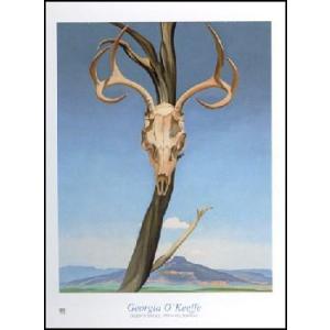 アートポスター-Red Cannas(610×762mm) オキーフ -おしゃれインテリア