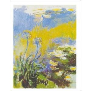 -モネポスター- アガパンサス  (40cm×50cm)　 -おしゃれインテリアに-