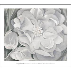 Oriental Poppies 1928(ジョージア オキーフ)額装済ポスター : az