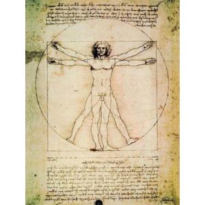 -アートポスター- L'uomo Vitruviano 60cm×80cm　天使・ルネッサンス -お...