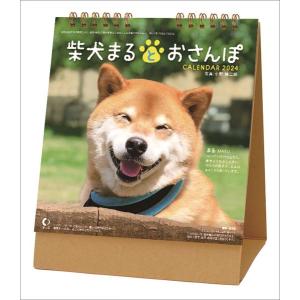 (動物)卓上 柴犬まるとおさんぽ 2024年カレンダー｜posterbin2