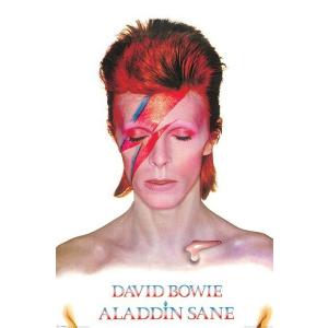 デヴィッド・ボウイ ポスター  /アラジン・セイン David Bowie (Aladdin Sane)(160204)｜posterbin2