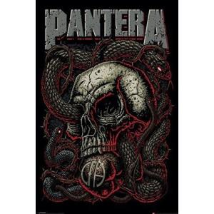 パンテラ  ポスター Pantera (Snake Eye)(130829)｜posterbin2