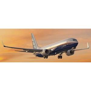 JTA さくらジンベエジェット BOEING 737-800 1:130 モデルプレーン