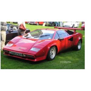 Bburago（ブラーゴ） burago 1/24 Lamborghini COUNTACH LPi 800-4