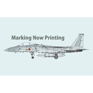 ハセガワ 1/72 F-15DJ イーグル