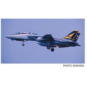 DXM 41-4268 1/48 アメリカ海軍 F-14A VF-2/VX-4/VF-154 トムキャット