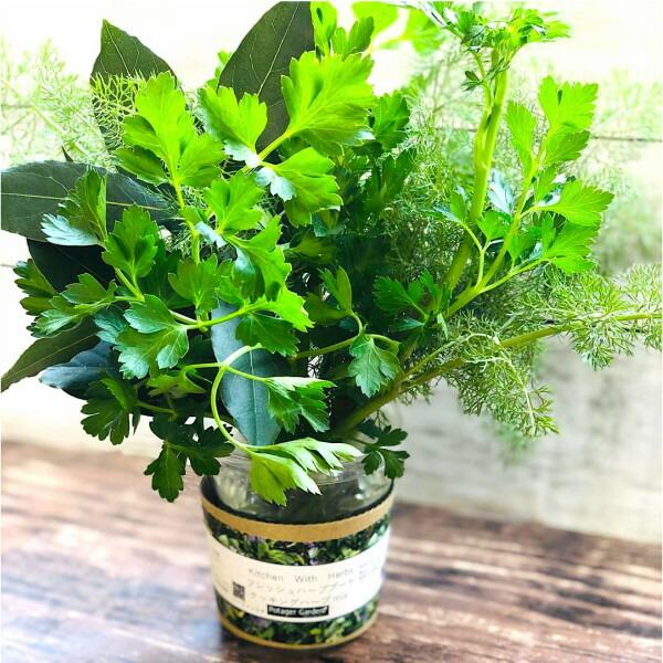 ハーブ ブーケ（ハーブティー ハーブ料理 誕生日 プレゼント ホームパーティ ご褒美 おしゃれ ミニ...