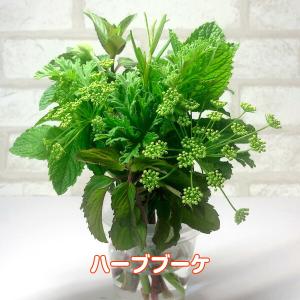 ハーブ ブーケ ミント（通販 ハーブティー 寄せ植え セット 本 生花 母の日 花束 ミニブーケ スワッグ ケース 作り方 東京 贈り物 種類）｜potager