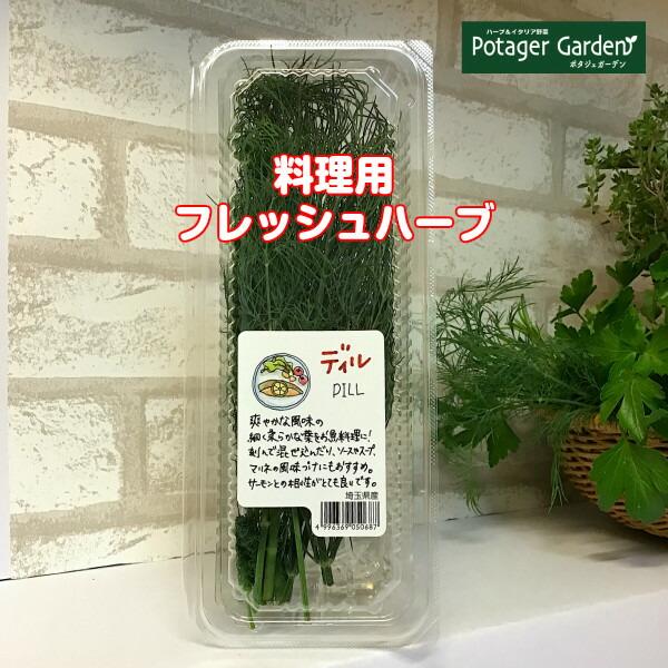 ハーブ 食用 ディル 1パック（レシピ付 フレッシュハーブ ハーブティー ミックス 野菜 サラダ 生...