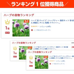 ハーブ 苗 チャイブ(シブレット 種類 栽培 ...の詳細画像1