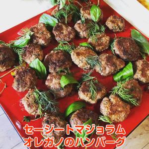ハーブ 苗 スイートマジョラム(種類 栽培 ハ...の詳細画像5