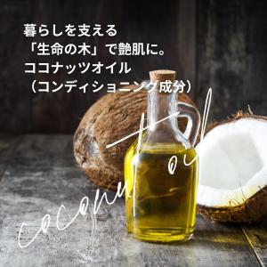 業務用ボディソープ 18L 詰替え ココプレミアムの詳細画像3