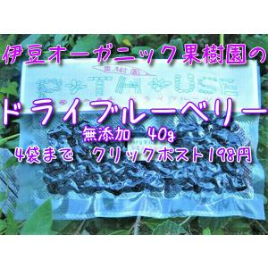 ドライフルーツ　ブルーベリー　オーガニック　無添加　お試し　500円