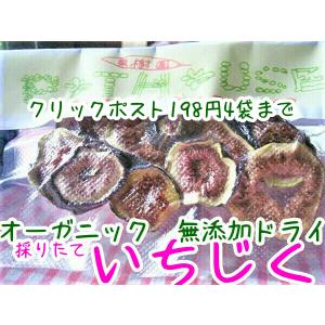 ドライフルーツ　いちじく　オーガニック　無添加　お試し　500円