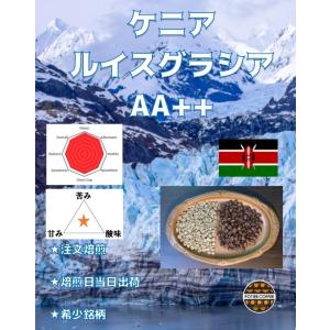 【3年ぶりの復活！】ケニア　ルイスグラシア　AA++　150ｇ<br> コーヒー 豆  珈琲豆 生豆  コーヒー 注文焙煎  coffee 自家 焙煎  <br>焙煎度合｜potiercoffee