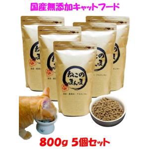 Mog Wan（モグワン） モグニャン キャットフード 1.5kg : BRハウス