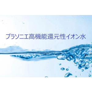 SHISEIDO（資生堂） 薬用ホワイトニング美容パウダー（レフィル