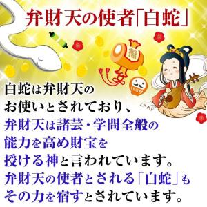 本物ヘビ革 パイソン財布 5万5,000円が6...の詳細画像4