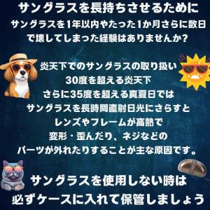 AGAIN アゲイン サングラス ケース BI...の詳細画像1