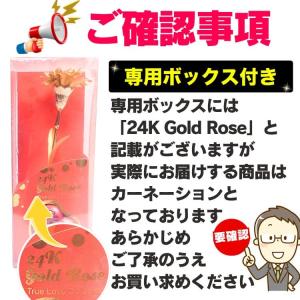 108,900円が98%OFF 一生枯れない花...の詳細画像4