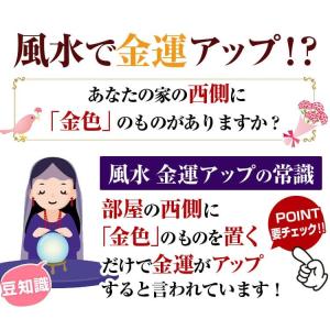 108,900円が98%OFF 一生枯れない花...の詳細画像5