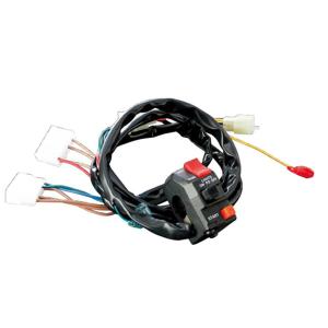 アクティブ ACTIVE スイッチキット TYPE-1 ZX-9R '1994〜'1997 輸出