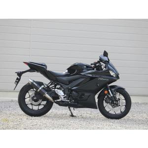 WR'S（ダブルアールズ） バイク マフラー 2025-YZF-R3/MT-03 (8BL