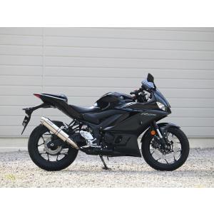 WR'S（ダブルアールズ） バイク マフラー 2025-YZF-R3/MT-03 (8BL