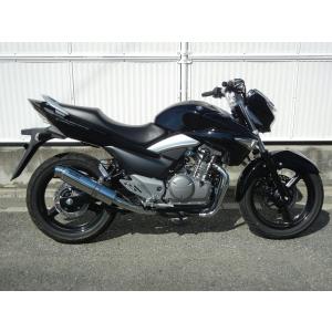 REALIZE（リアライズ） Realize GSR250 バイクマフラー JBK-GJ55D 2012