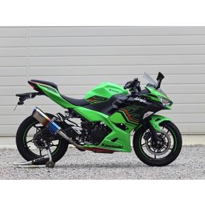 ダブルアールズ WR'S SS-OVAL 焼き色タイプ スリップオン JMCA認証 Ninja250 2BK-EX250P/8BK-EX250Y '18〜'22/'23〜