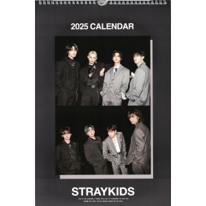 【Stray Kids】Lee Know グッズまとめ売り(30点以上) Stray Kids】Lee Know グッズまとめ売り(30点以上) - メルカリ
