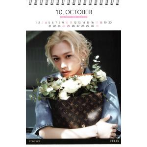Stray Kids ストレイキッズ 写真集 Premium Photo Book 大型写真