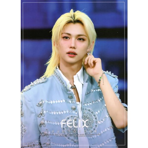 Stray Kids ストレイキッズ Felix フィリックス グッズ 写真集 Premium Ph...