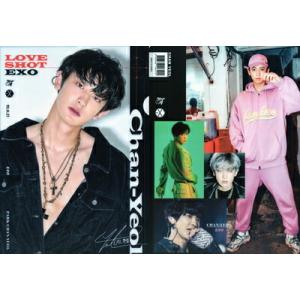 EXO エクソ チャニョル グッズ クリアファイル A4サイズ 新作写真1