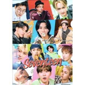 ジョンハン　TEEN,AGE サノク　ポストカード　seventeen seventeen セブンティーン ジョンハン グッズ ポストカード