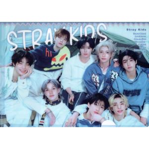 stray kids ストレイキッズ グッズ クリアファイル A4サイズ 新作写真