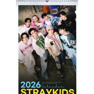 Stray Kids ストレイキッズ ヒョンジン グッズ クッション 抱き枕 + 綿