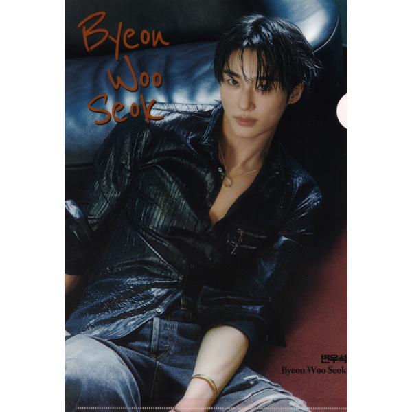 ビョンウソク グッズ クリアファイル  A4サイズ