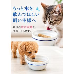 犬猫兼用 軟水化セラミックスティック 2本★税...の詳細画像3