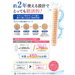 犬猫兼用 軟水化セラミックスティック 2本★税...の詳細画像5